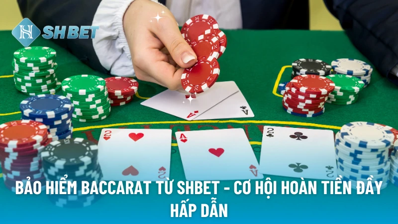 Bảo hiểm Baccarat từ SHBET - Cơ hội hoàn tiền đầy hấp dẫn