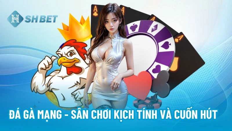 Đá gà mạng - Sân chơi kịch tính và cuốn hút