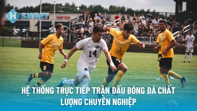 Hệ thống trực tiếp trận đấu bóng đá chất lượng chuyên nghiệp